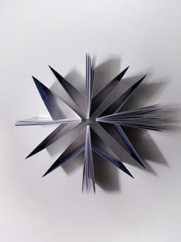 Favre & Guth / Petrini logo