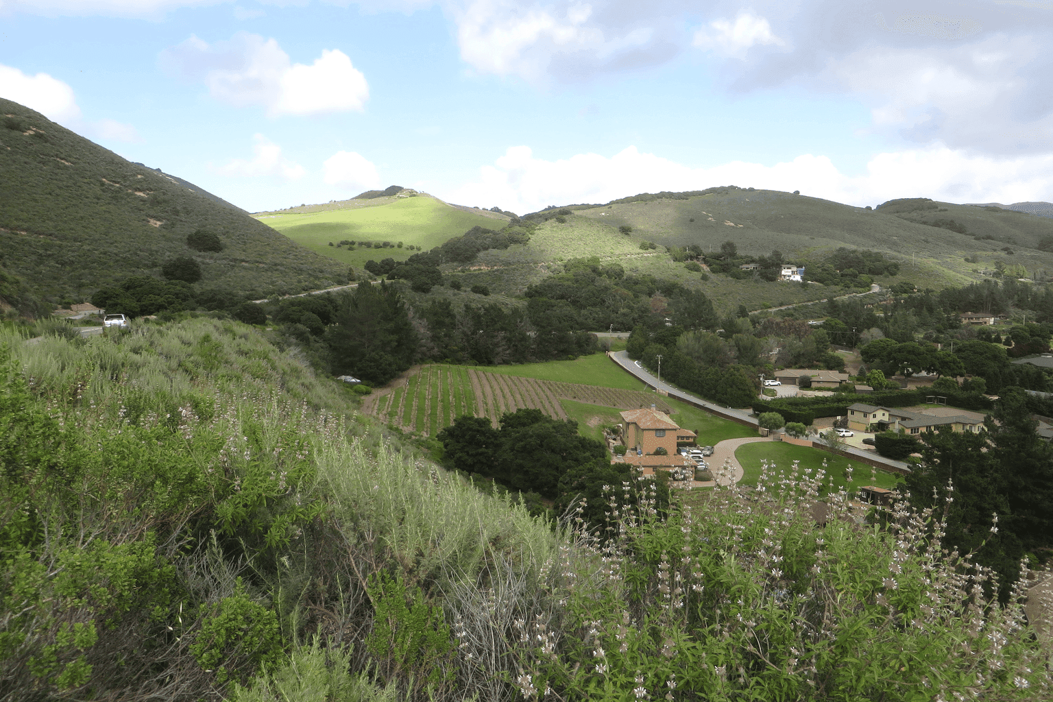 Carmel Valley Village