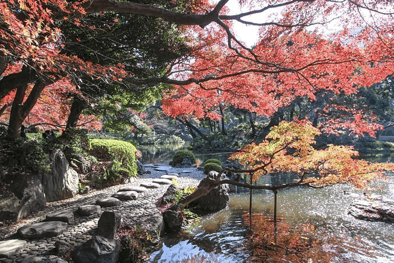 Livio City Bunkyō Koishikawa