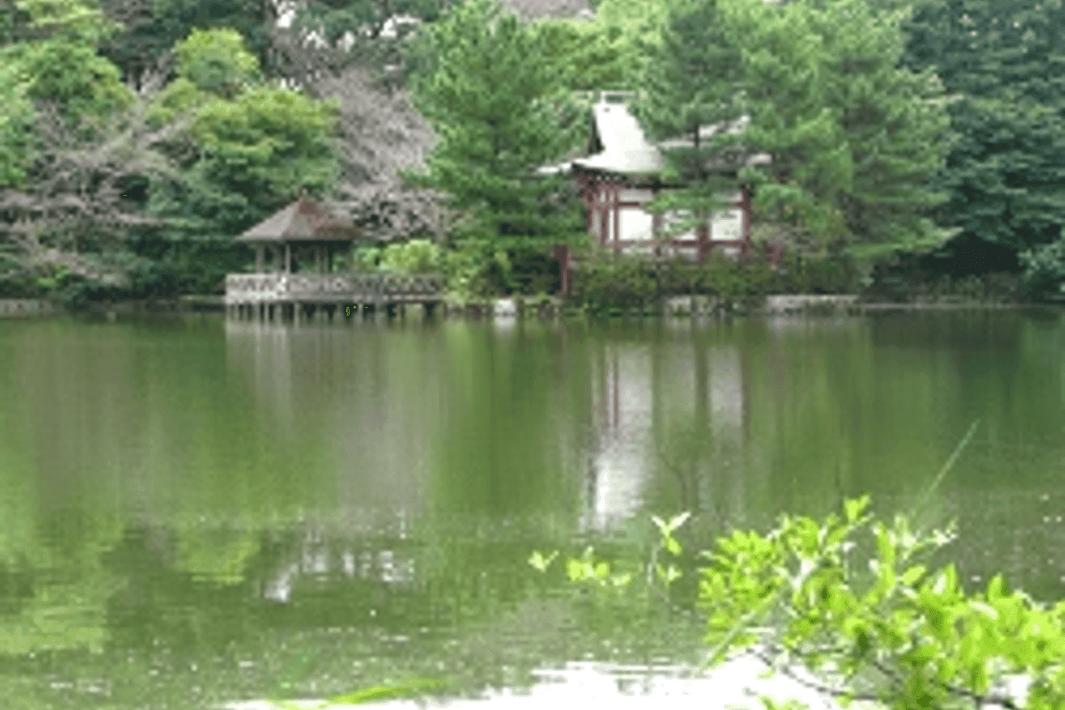 Pierce Shakujii Kōen