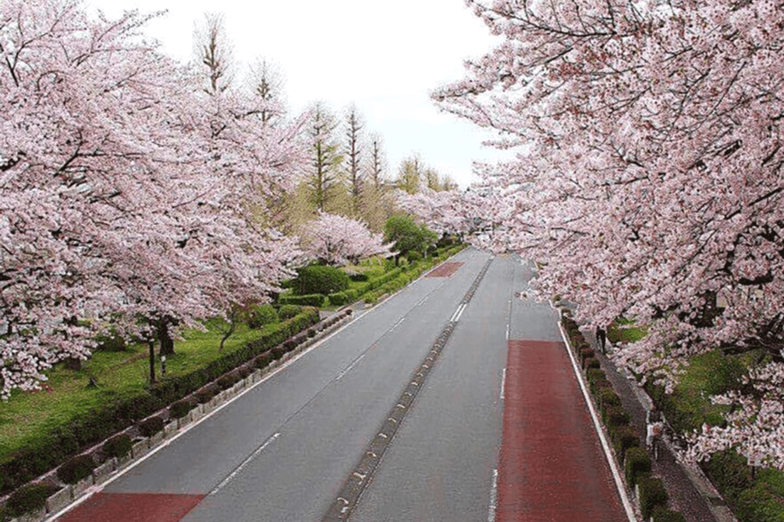 Proud City Kunitachi