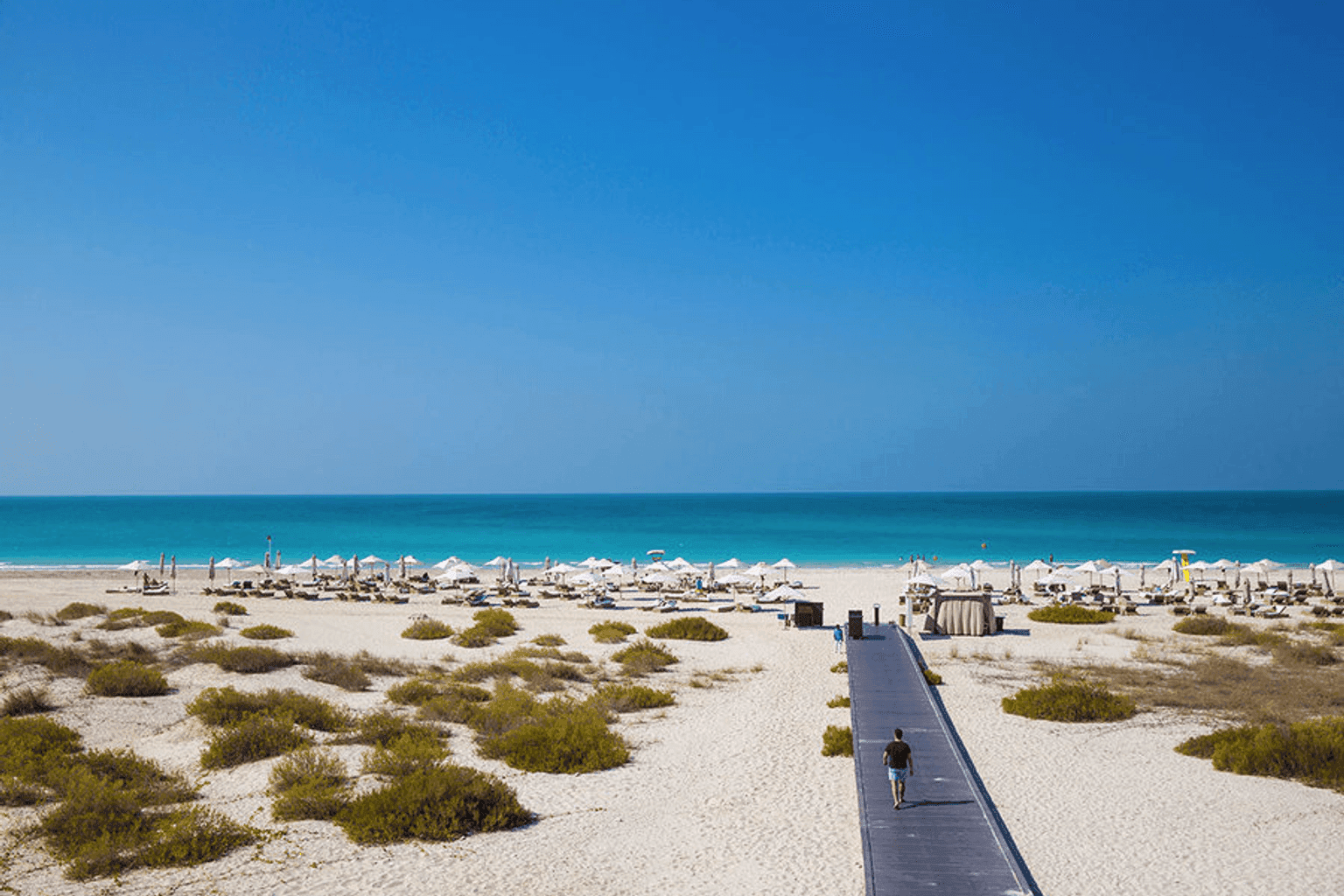 Saadiyat Island